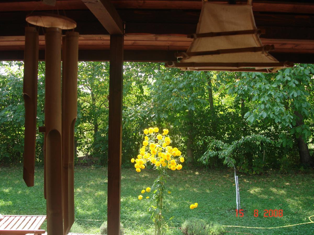 Pensiunea Bamboo - Villa Breaza  Exterior foto